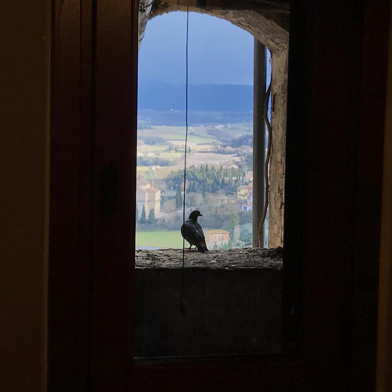 Residenza Teatro Antico 호텔 토티 외부 사진